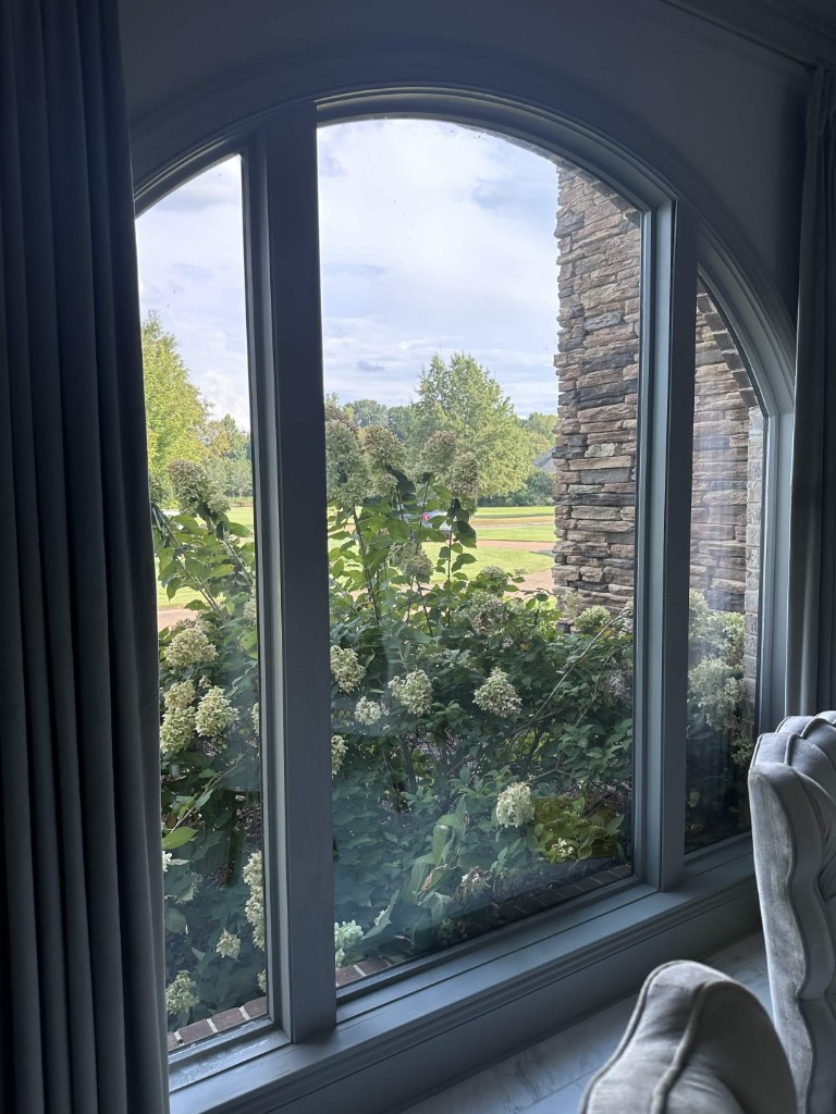 Arched window with a clear view of hydrangeas